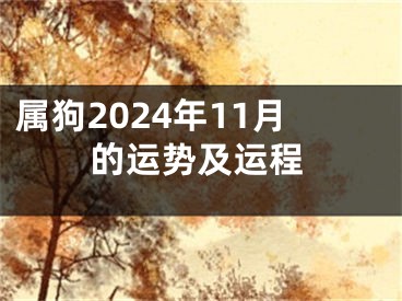 属狗2024年11月的运势及运程
