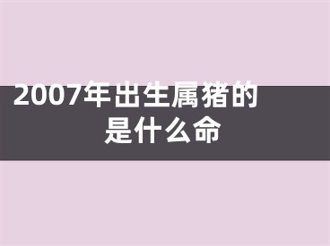 2007年出生属猪的是什么命