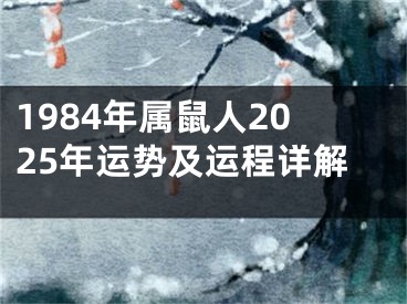 1984年属鼠人2025年运势及运程详解
