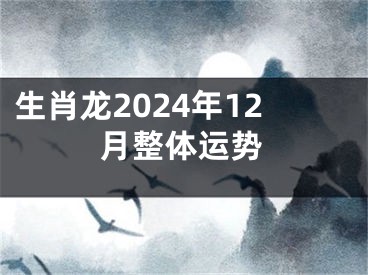 生肖龙2024年12月整体运势