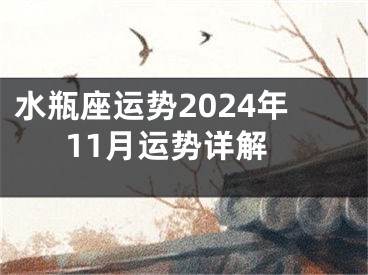 水瓶座运势2024年11月运势详解