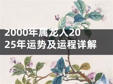 2000年属龙人2025年运势及运程详解