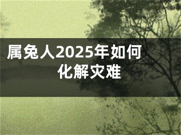 属兔人2025年如何化解灾难