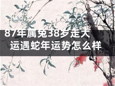 87年属兔38岁走大运遇蛇年运势怎么样