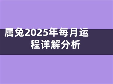 属兔2025年每月运程详解分析