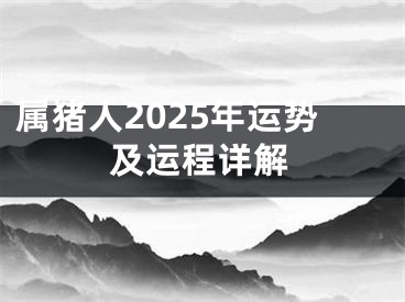 属猪人2025年运势及运程详解