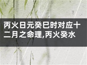 丙火日元癸巳时对应十二月之命理,丙火癸水