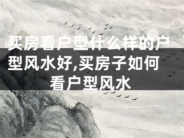 买房看户型什么样的户型风水好,买房子如何看户型风水