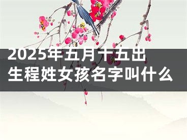 2025年五月十五出生程姓女孩名字叫什么
