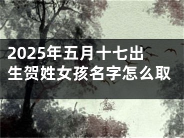 2025年五月十七出生贺姓女孩名字怎么取