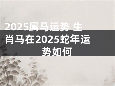 2025属马运势 生肖马在2025蛇年运势如何