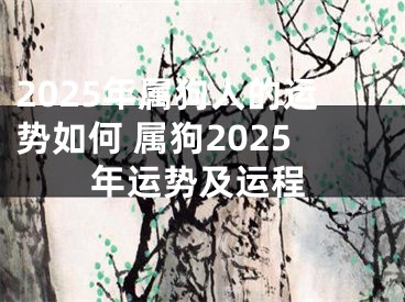 2025年属狗人的运势如何 属狗2025年运势及运程