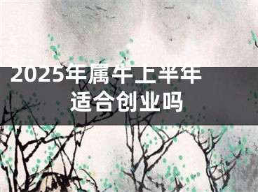 2025年属牛上半年适合创业吗
