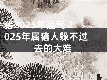 猪2025年运气 2025年属猪人躲不过去的大难