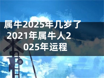 属牛2025年几岁了 2021年属牛人2025年运程