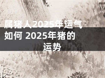 属猪人2025年运气如何 2025年猪的运势