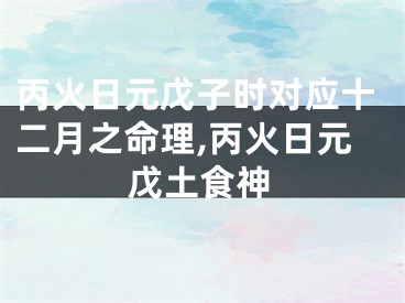 丙火日元戊子时对应十二月之命理,丙火日元戊土食神