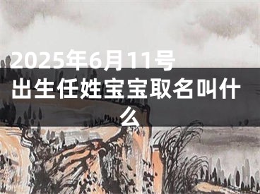 2025年6月11号出生任姓宝宝取名叫什么