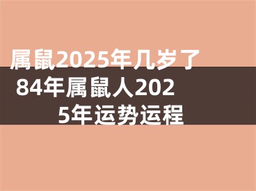 属鼠2025年几岁了 84年属鼠人2025年运势运程