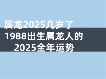 属龙2025几岁了 1988出生属龙人的2025全年运势