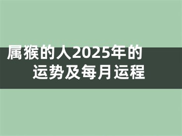 属猴的人2025年的运势及每月运程