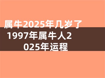 属牛2025年几岁了 1997年属牛人2025年运程