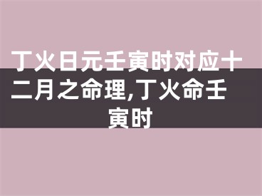 丁火日元壬寅时对应十二月之命理,丁火命壬寅时