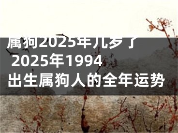 属狗2025年几岁了 2025年1994出生属狗人的全年运势