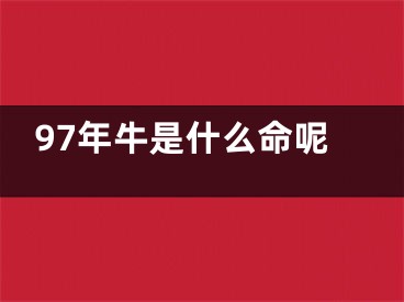 97年牛是什么命呢