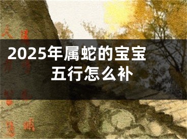 2025年属蛇的宝宝五行怎么补