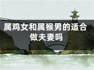 属鸡女和属猴男的适合做夫妻吗