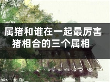 属猪和谁在一起最厉害 猪相合的三个属相