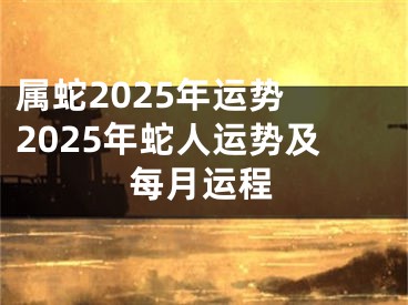 属蛇2025年运势 2025年蛇人运势及每月运程