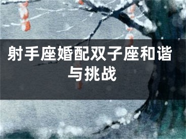 射手座婚配双子座和谐与挑战