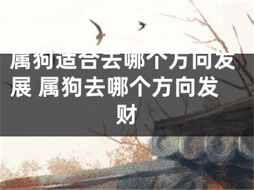 属狗适合去哪个方向发展 属狗去哪个方向发财