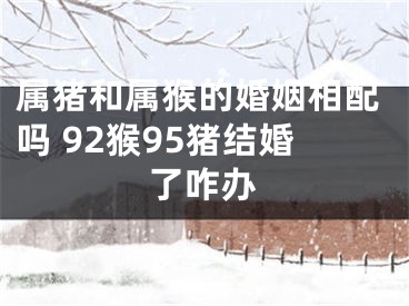 属猪和属猴的婚姻相配吗 92猴95猪结婚了咋办
