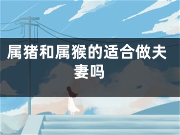 属猪和属猴的适合做夫妻吗