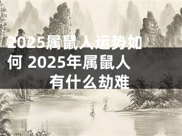 2025属鼠人运势如何 2025年属鼠人有什么劫难