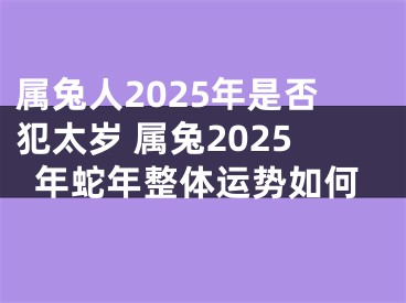 属兔人2025年是否犯太岁 属兔2025年蛇年整体运势如何