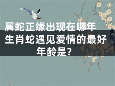 属蛇正缘出现在哪年 生肖蛇遇见爱情的最好年龄是?