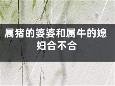 属猪的婆婆和属牛的媳妇合不合