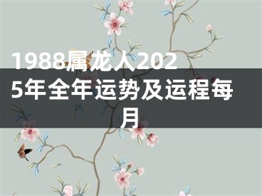 1988属龙人2025年全年运势及运程每月