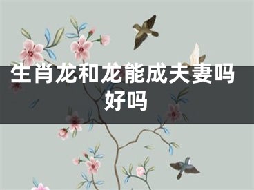 生肖龙和龙能成夫妻吗好吗