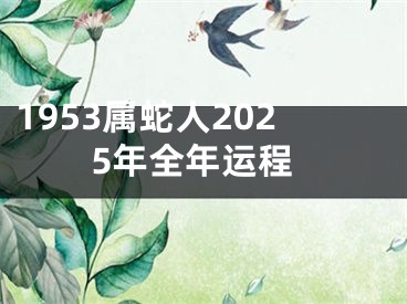1953属蛇人2025年全年运程