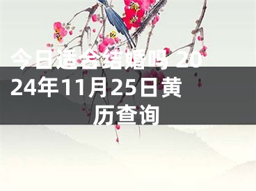 今日适合结婚吗 2024年11月25日黄历查询
