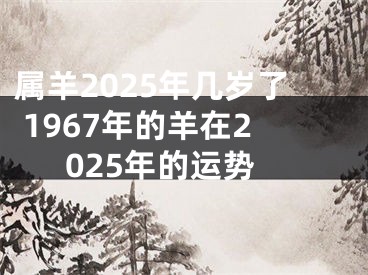 属羊2025年几岁了 1967年的羊在2025年的运势