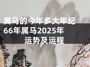 属马的今年多大年纪 66年属马2025年运势及运程