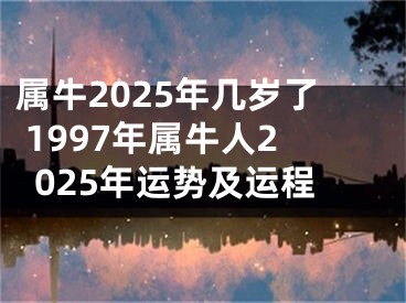 属牛2025年几岁了 1997年属牛人2025年运势及运程