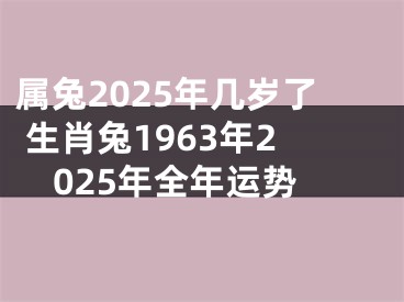 属兔2025年几岁了 生肖兔1963年2025年全年运势