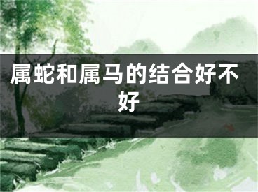 属蛇和属马的结合好不好